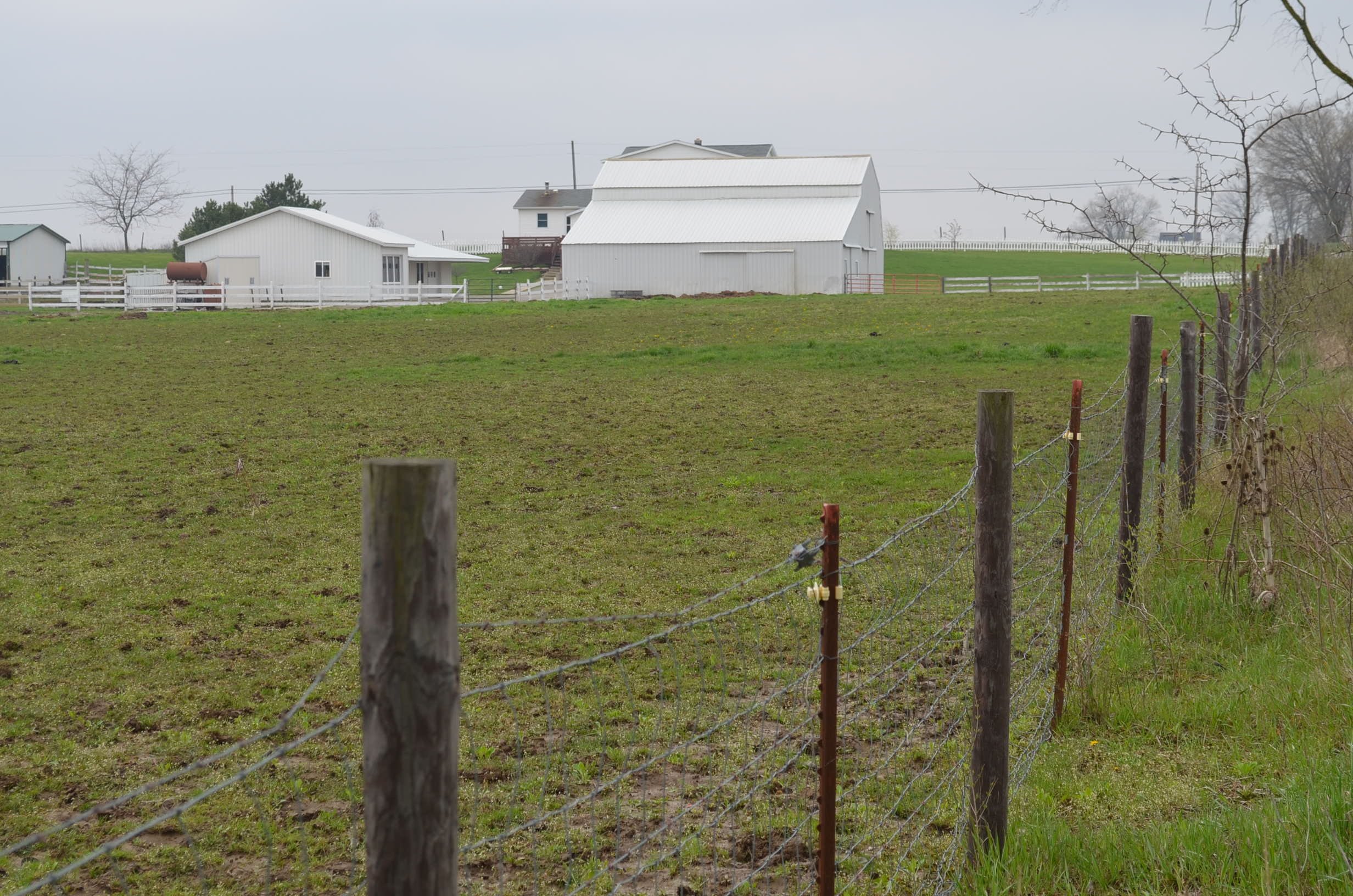 Property photo 10 - Amish Farm Auction - 7 Bedroom 2 Bathroom Home